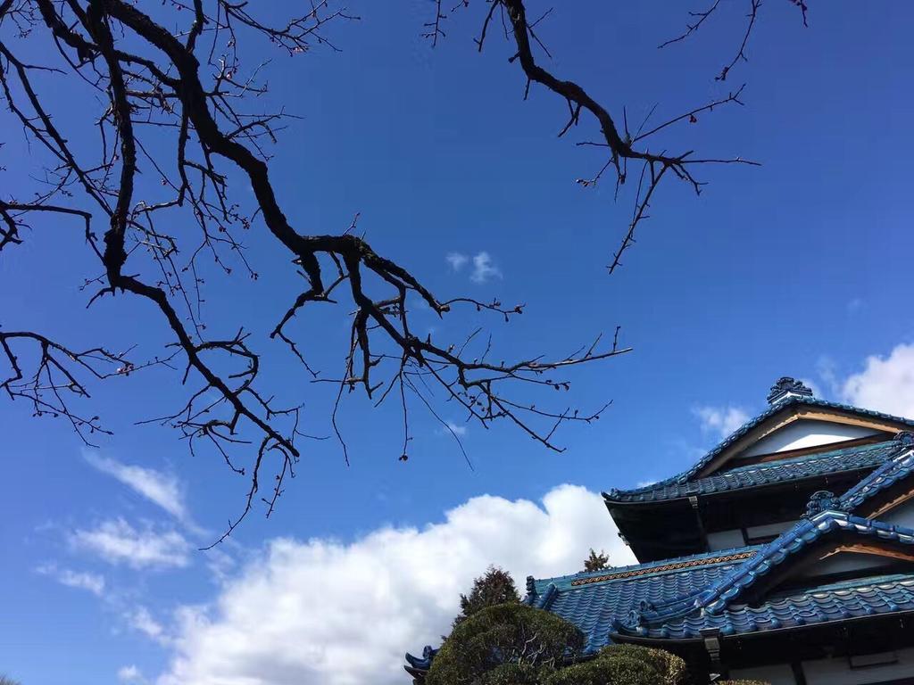 Kougetsu Sanso -- Moon Villa In Tokyo Хатіодзі Екстер'єр фото